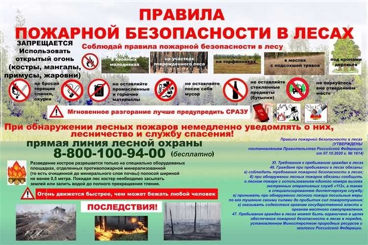 Правила пожарной безопасности в лесах советы и рекомендации для безопасного отдыха на природе